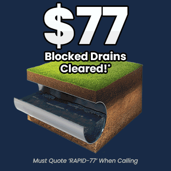 Fast Blocked Drain Clearing in Coorparoo: Same Day Service